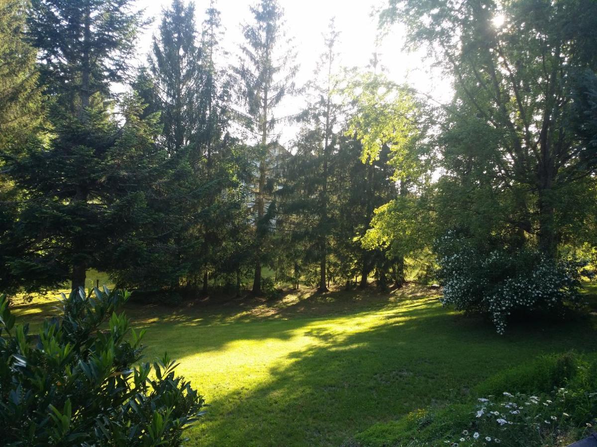 Schwarzwald - Villa Appartments Titisee 外观 照片