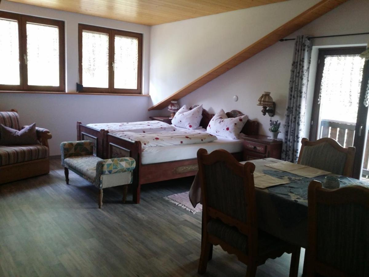 Schwarzwald - Villa Appartments Titisee 外观 照片
