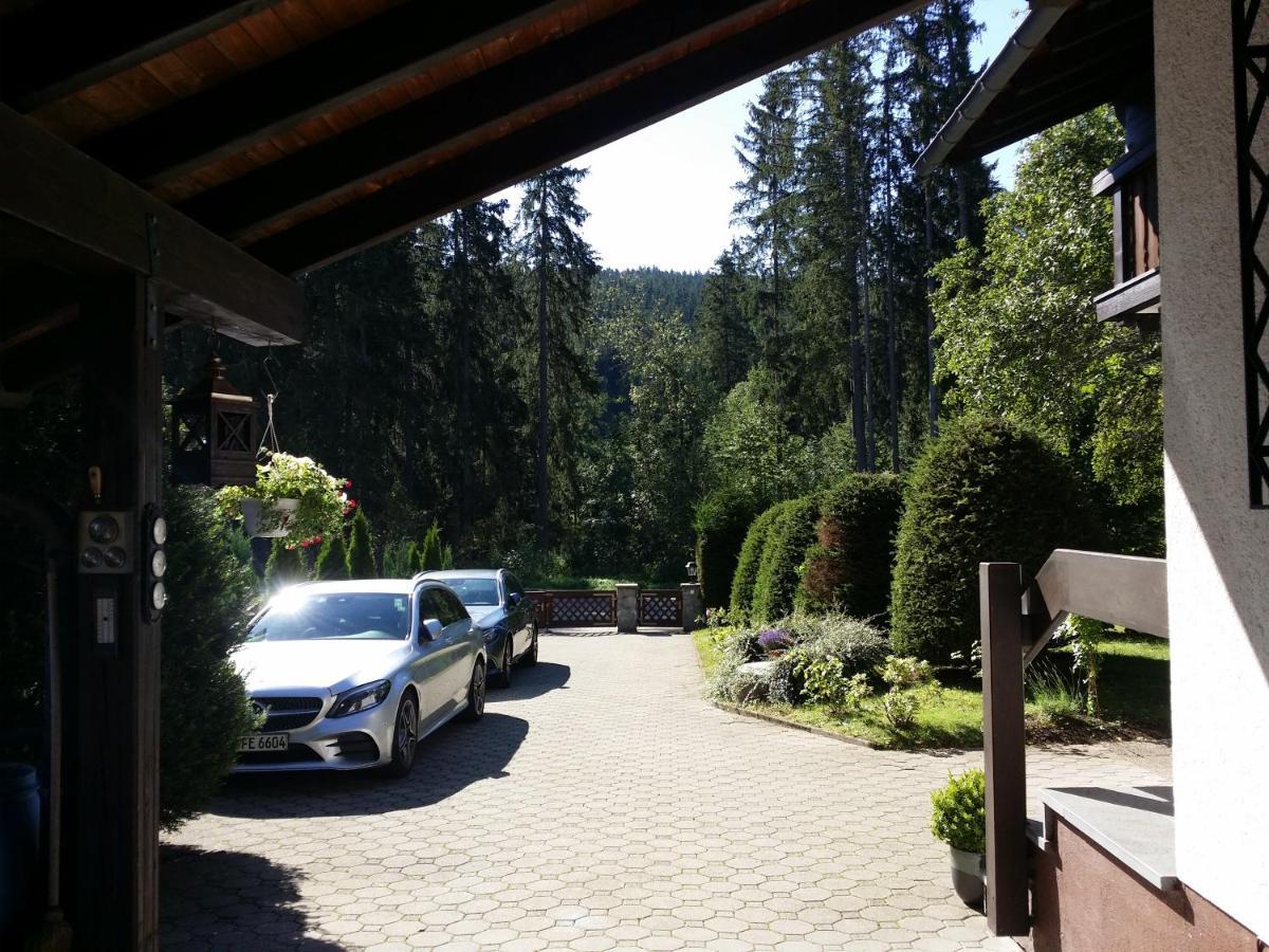 Schwarzwald - Villa Appartments Titisee 外观 照片