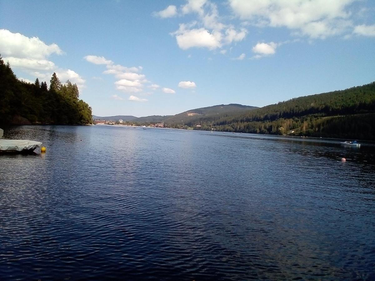 Schwarzwald - Villa Appartments Titisee 外观 照片