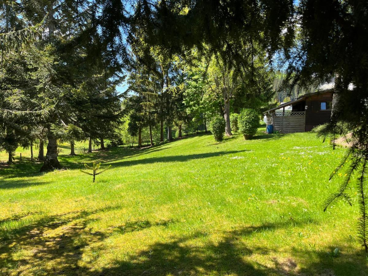 Schwarzwald - Villa Appartments Titisee 外观 照片
