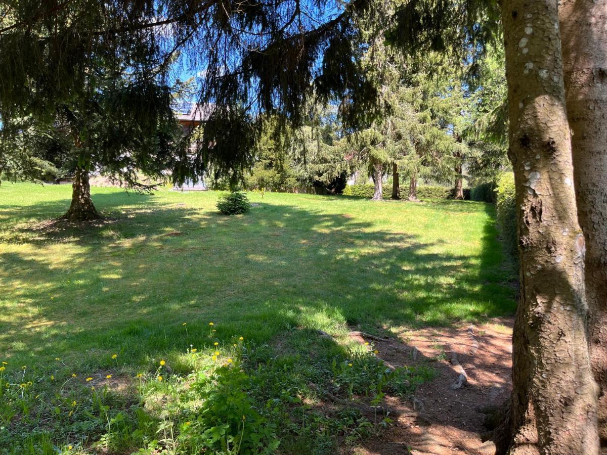 Schwarzwald - Villa Appartments Titisee 外观 照片