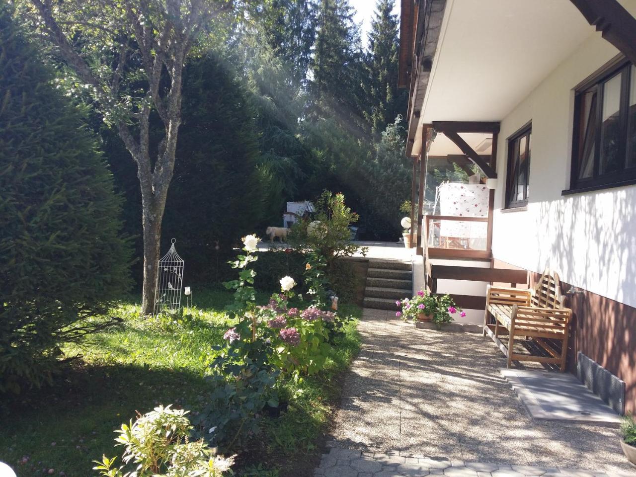Schwarzwald - Villa Appartments Titisee 外观 照片