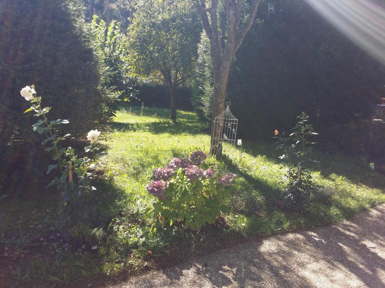 Schwarzwald - Villa Appartments Titisee 外观 照片
