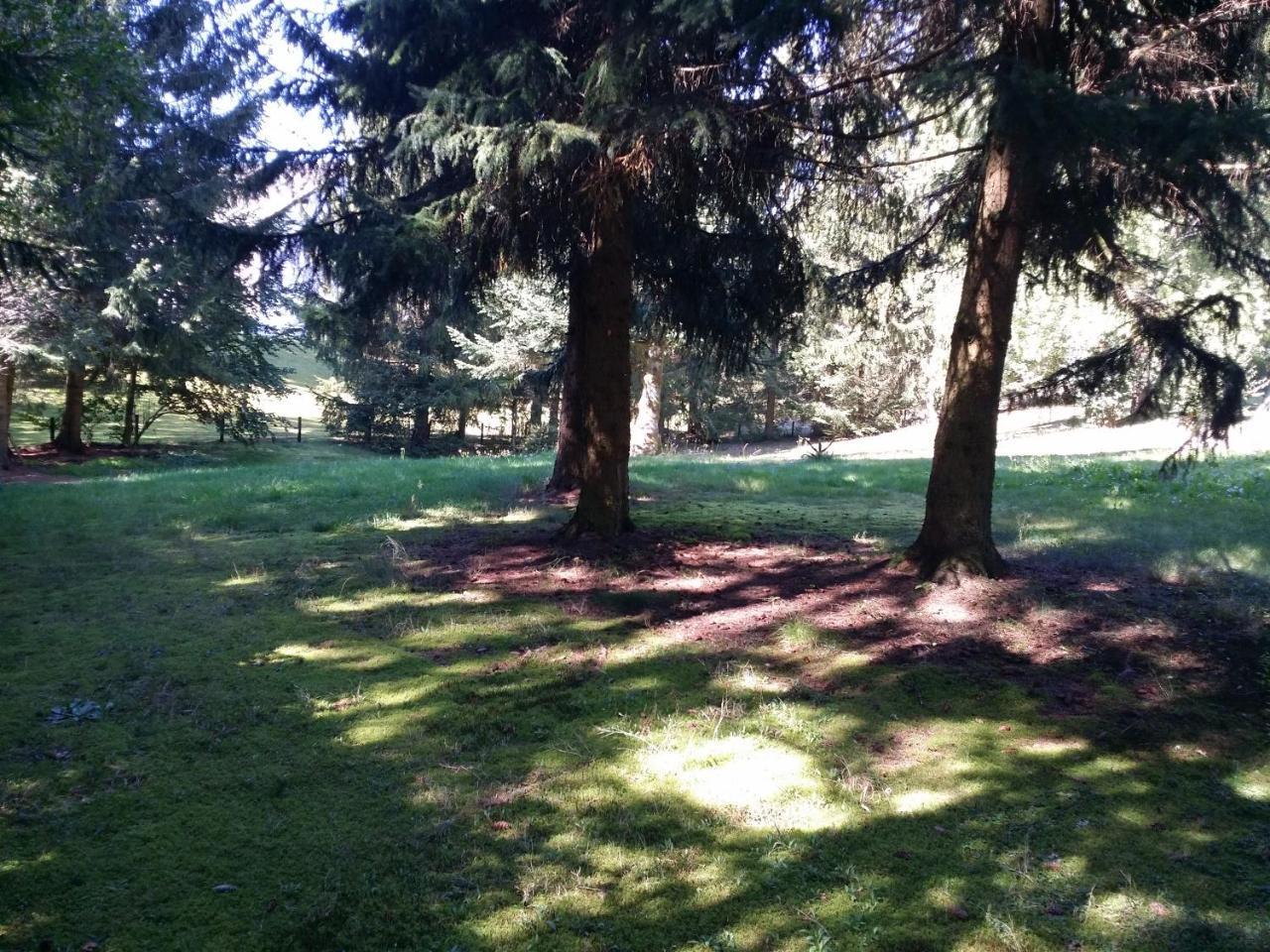 Schwarzwald - Villa Appartments Titisee 外观 照片