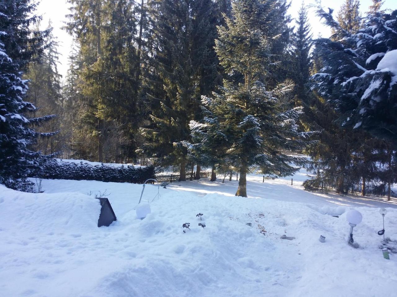 Schwarzwald - Villa Appartments Titisee 外观 照片
